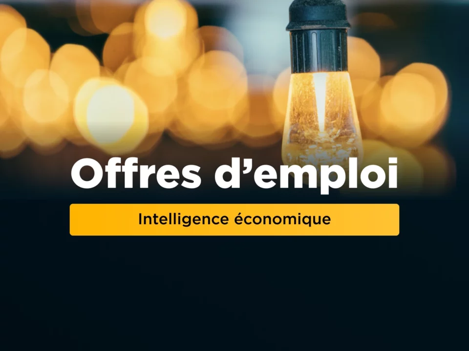 Offres d'emploi en intelligence économique