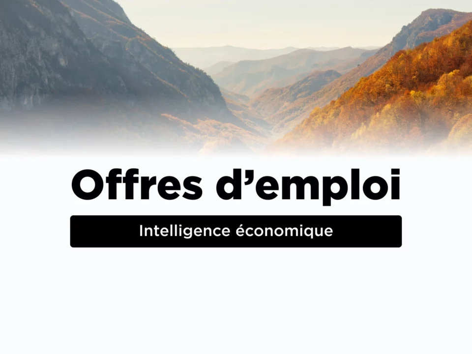 Offres d'emploi en intelligence économique