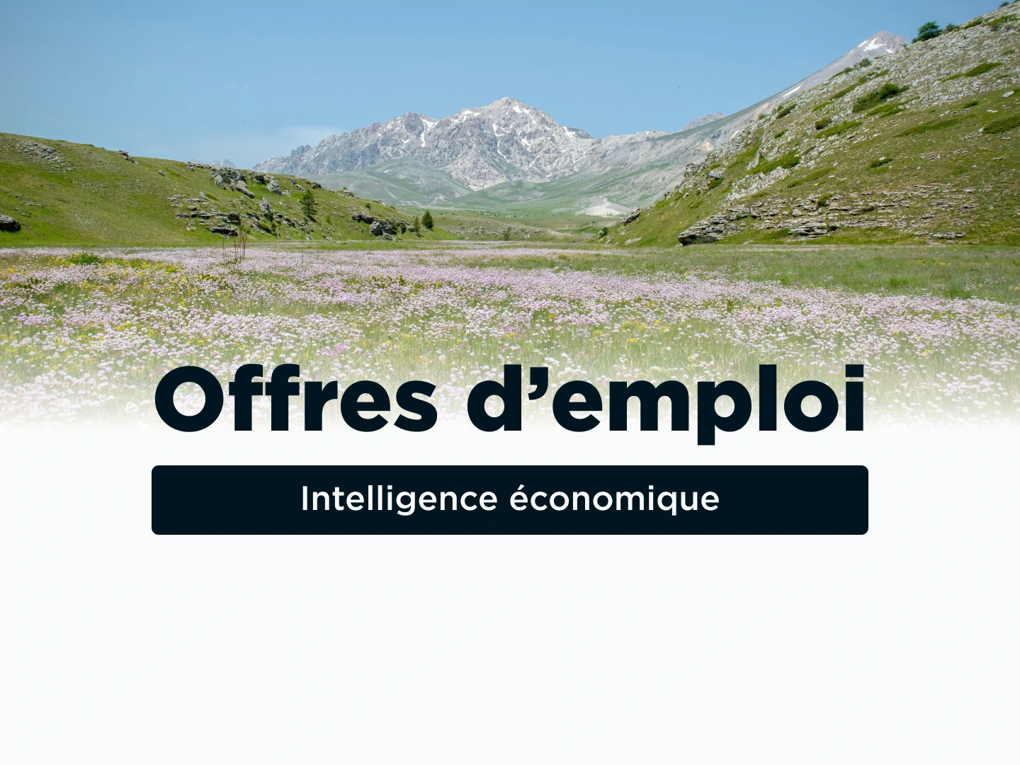 Les dernières offres d'emploi en intelligence économique
